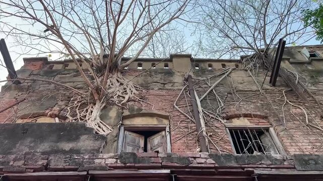 Dilapidated heritage building in rural Bengal; crumbling brick walls and arches overtaken by invasive banyan tree roots, showcasing architectural decay.