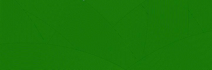 farm green banner  organic abstract background with fields. wavy green lines  natural organic products.vector modern. © Musrifah