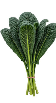 Fresh bunch of green kale.