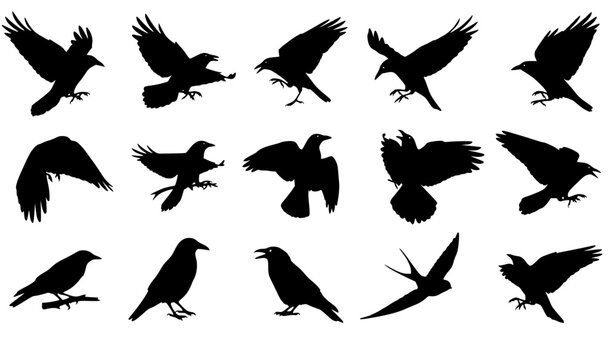 Bird silhouettes icon set with flying and perched birds black vector collection isolated on white background