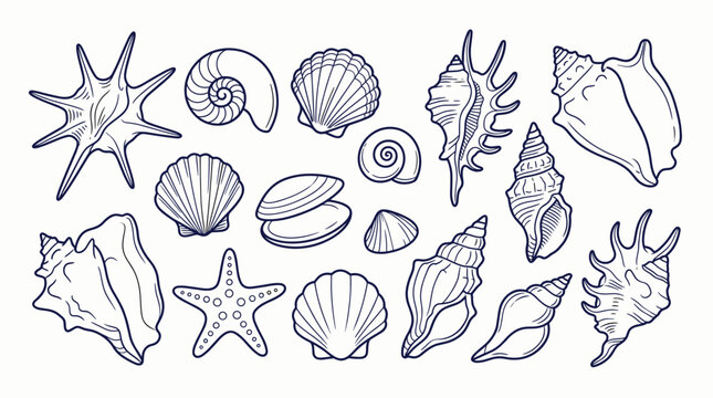 Coastal marine beach decorative elements set, whimsical line sketches, conch shells, scallops, sea stars, and mollusks