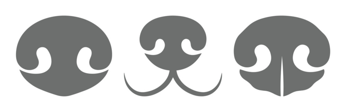 Minimalist animal nose vector icons, set of 3 grey dog and cat snout silhouettes, flat pet facial features for character design and logo creation