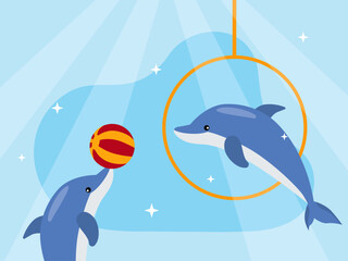 Obraz premium A dolphins performing tricks, with one jumping through a yellow hoop and another balancing a striped ball on its nose. Circus illustrations. Flat vector concepts.
