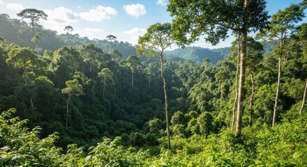 Fototapeta premium Lush, verdant rainforest canopy stretches towards a bright blue sky