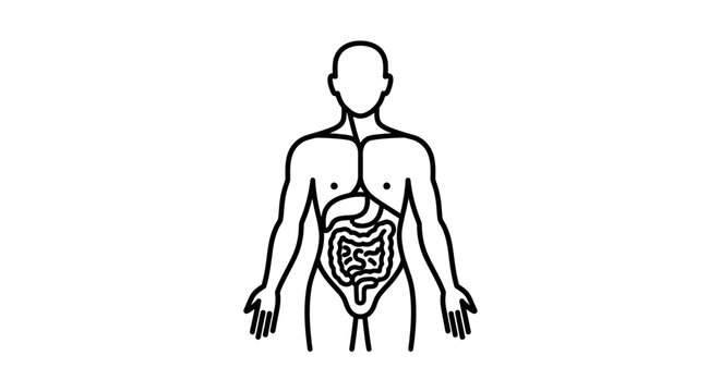 Simplified human body outline icon with internal digestive system clearly illustrated, representing essential anatomy and biological structure for educational and health-related contexts
