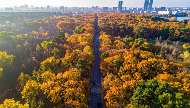Aerial view of autumn forest and road leading to city skyline.