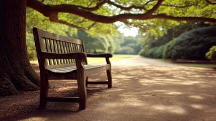 Fototapeta premium Serene Park Bench Under Green Canopy in Peaceful Natural Setting with Soft Light and Tranquil Pathway for Relaxation and Reflection in Outdoor Environment