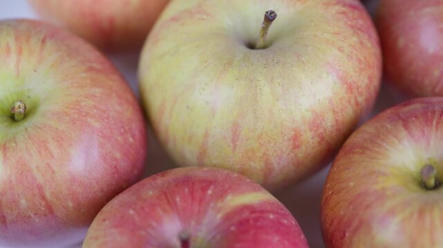 Fresh fruit display. Stacked ripe apples illuminated by gentle sunlight in crate. Vivid closeup of freshly picked apples showcasing dewy textures and vibrant skins