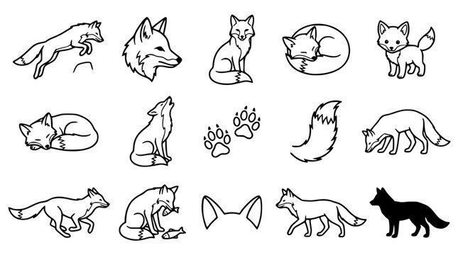 Fox vector illustration set with various poses and designs