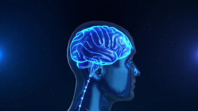 AI big data concept digital blue human face neural network on technology background. Digital brain scan merging human ai brain network circuit hologram Human Mind, Technology Deep Learning, Chat bot
