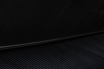 Obraz premium Macro Abstract of Black Bird Feather Texture,Extreme close-up macro shot showing the intricate details, fine lines, and elegant texture of a black bird feather, highlighting the natural pattern.