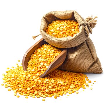A burlap sack overfilled with yellow grains