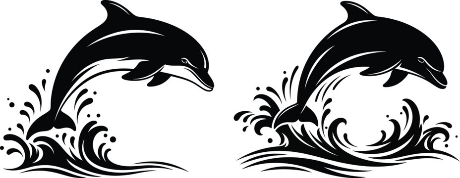 Two black dolphins jumping out of waves on white background swimming and playing in ocean water
