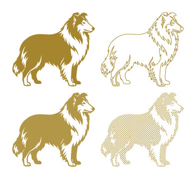 Rough Collie dog vector set, gold sheepdog silhouette icons, elegant long-haired collie breed illustrations for pet branding and logos