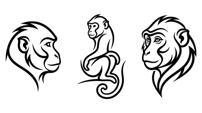 Set of Monkey Line Art Designs