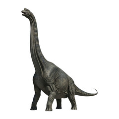 Obraz premium Long Neck Dinosaur Illustration Isolated on Transparent Background