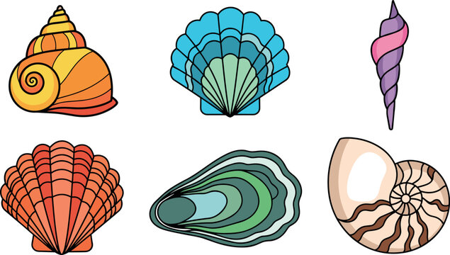 Colorful seashell illustration set featuring scallop conch spiral and marine shells in vibrant flat style for decorative design