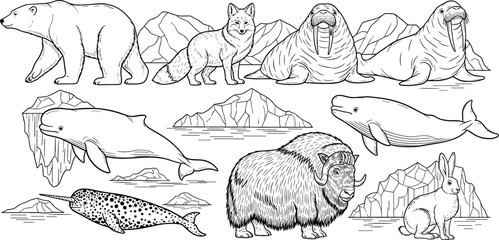 Arctic Wildlife Scene with Polar Bear, Arctic Fox, Walrus, Whale, Narwhal, Musk Ox, and Hare in Black and White Line Art © MstJuli