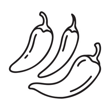 Cinco de mayo lineart Illustration vector Cinco de mayo elements vector  Illustration 