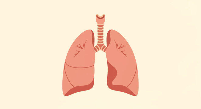 Simplified anatomical illustration of human respiratory system featuring the lungs and trachea, rendered in a flat vector style with soft pink tones on a light neutral background.