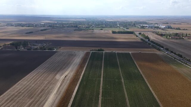 Cultivated land showing rows of emerging crops, representing food production and agronomy