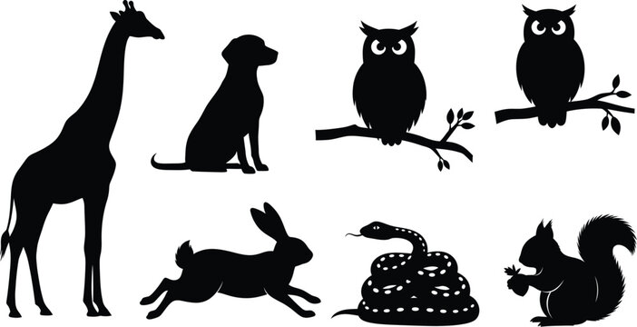 Silhouettes of various animals including giraffe dog owls rabbit snake squirrel with black and white forest dweller desert dweller silhouettes squirrel wildlife creature collection side view
