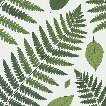 Green fern leaves and foliage illustration pattern design
