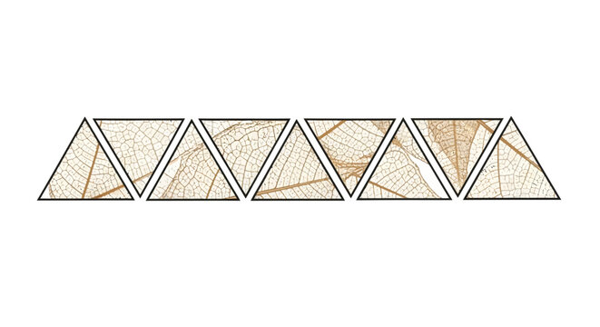 A horizontal arrangement of seven triangular shapes, each containing intricate patterns resembling dried leaf skeletons or delicate botanical veins, outlined in dark frames.