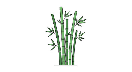 Obraz premium Green Bamboo Stalks with Leaves Isolated on White Background
