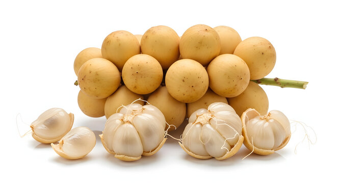 Fresh Thai Longkong fruit cluster with peeled translucent seedless flesh isolated on a white background. Sweet tropical snack