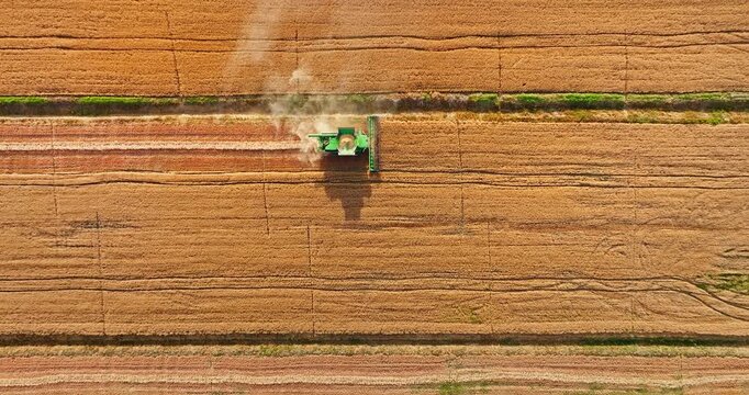 Top down aerial view of a green combine harvester harvesting wheat in a vast agricultural field