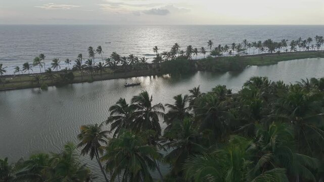 Aerial View of Kerala Backwaters with Coconut Trees and Boat in India