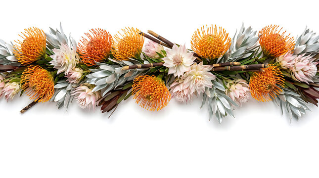 South African native floral border with orange pincushion protea and blushing bride on a white background 