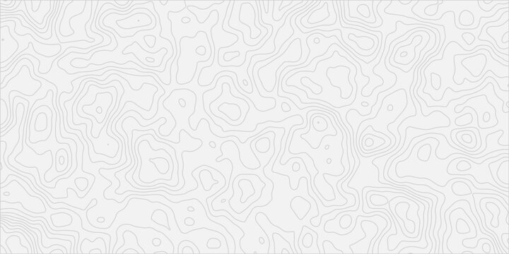 Abstract Elevation Contour Lines Artistic Pattern with Smooth Organic Shapes
Modern Topographic Map Texture Background Design for Creative Layouts
