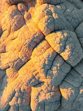 Aerial view of the unique brain-like rock formations of White Pocket with golden hour light hitting the textured sandstone in Coconino County, Arizona, United States.