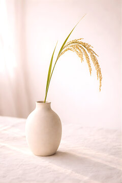 Minimal Rice Plant in Ceramic Vase with Soft Natural Light | Zen Neutral Still Life