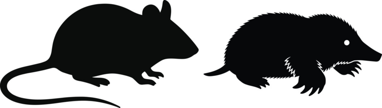 Flat vector illustration of mouse silhouette and mole silhouette side by side, rodent and insectivore comparison, isolated small animal design