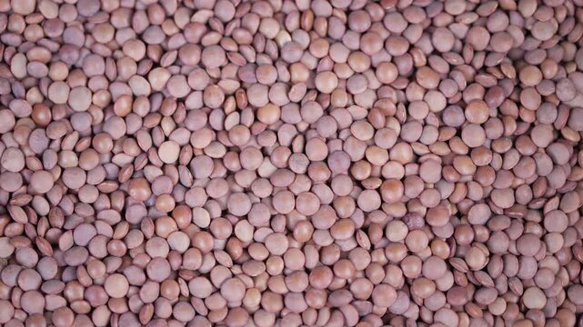 Closeup brown lentils covering surface, tight macro shot of round seeds, warm earthy tones and subtle shadows, dense granular pattern for culinary packaging and food background