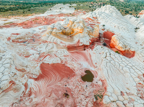 Aerial view of White Pocket rock formations featuring white brain-like sandstone textures, red swirling patterns, and small pools of water in Coconino County, Arizona, United States.