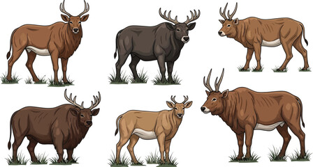 Isolated vector illustration set of wild animal silhouettes featuring a cute cartoon deer, majestic reindeer with antlers, and a black stag stag elk in a nature wildlife design on white © nisrinaicca