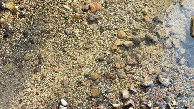 Clear Water Flowing Over Pebbles in Kenrokuen Garden Stream