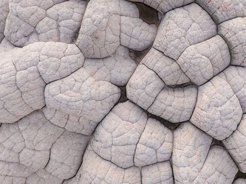 Aerial view of the unique brain rock formations and polygonal sandstone textures at White Pocket in Coconino County, Arizona, United States.