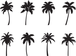 Fototapeta premium Black palm tree silhouettes set.