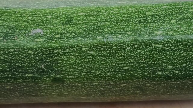 Close up of a zucchini