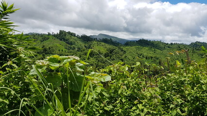 Beautiful green hills with clouds in the sky, a breathtaking natural landscape view of lush vegetation © MdAbu