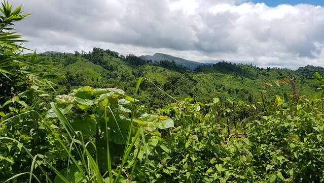 Beautiful green hills with clouds in the sky, a breathtaking natural landscape view of lush vegetation