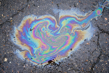 Obraz premium Colorful iridescent oil slick floating in a puddle on asphalt pavement