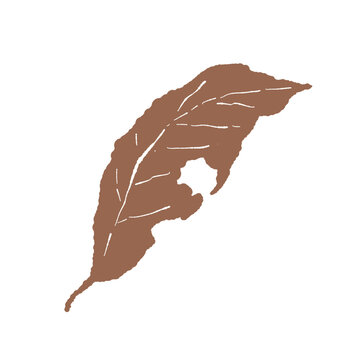 Halloween large withered leaf illustration single torn brown leaf vertical