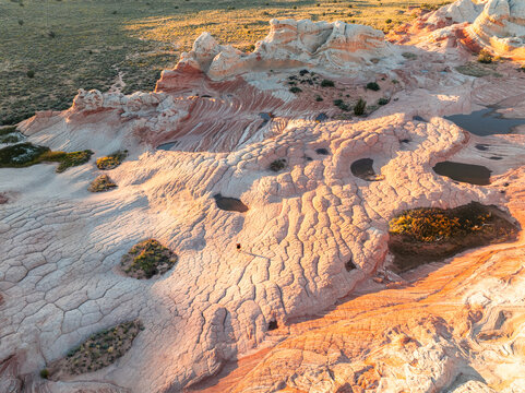 Aerial view of White Pocket sandstone formations with unique brain-like textures and small water pools under golden hour light in Coconino County, Arizona, United States.