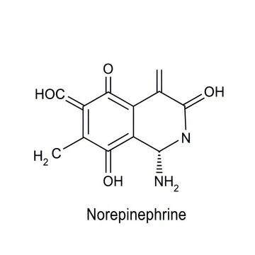 Chemical Structure of Norepinephrine on White Background.